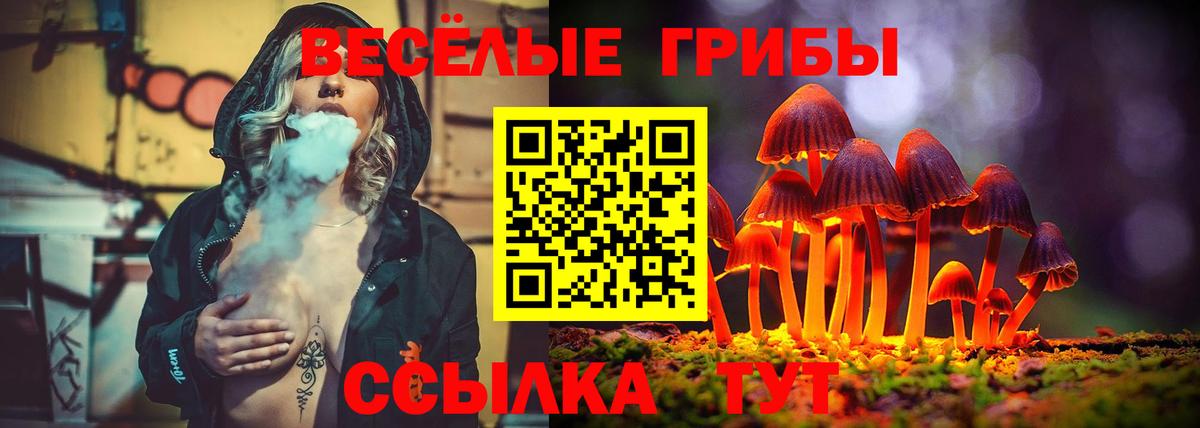 Псилоцибиновые грибы мухоморы Людиново