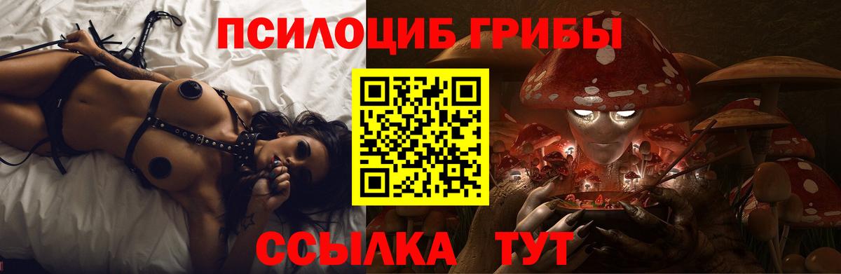 Людиново  Псилоцибиновые грибы мицелий  Галлюциногенные грибы Cubensis  Вход с VPN 